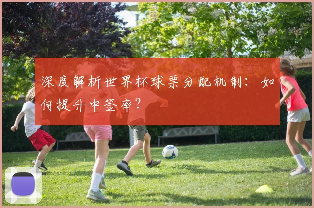 深度解析世界杯球票分配机制：如何提升中签率？