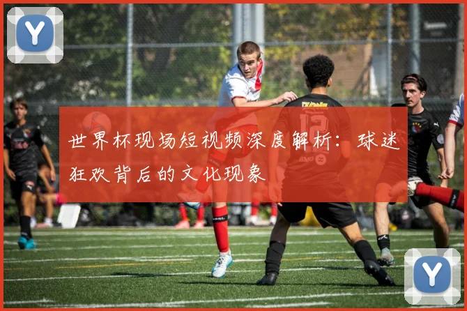 世界杯现场短视频深度解析：球迷狂欢背后的文化现象